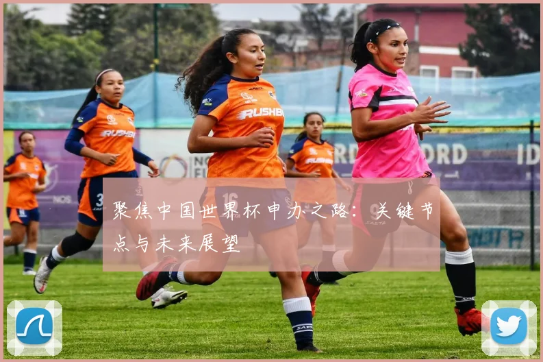 聚焦中国世界杯申办之路：关键节点与未来展望