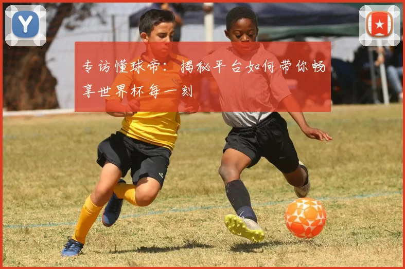 专访懂球帝：揭秘平台如何带你畅享世界杯每一刻